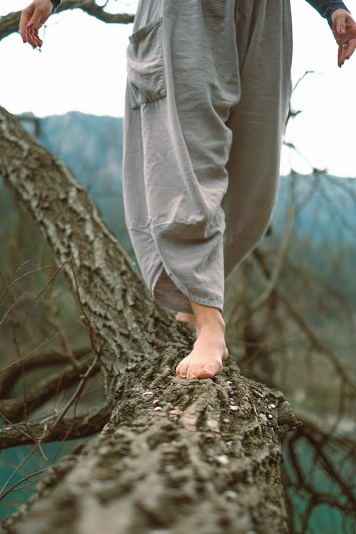 A person walking on a tree branch