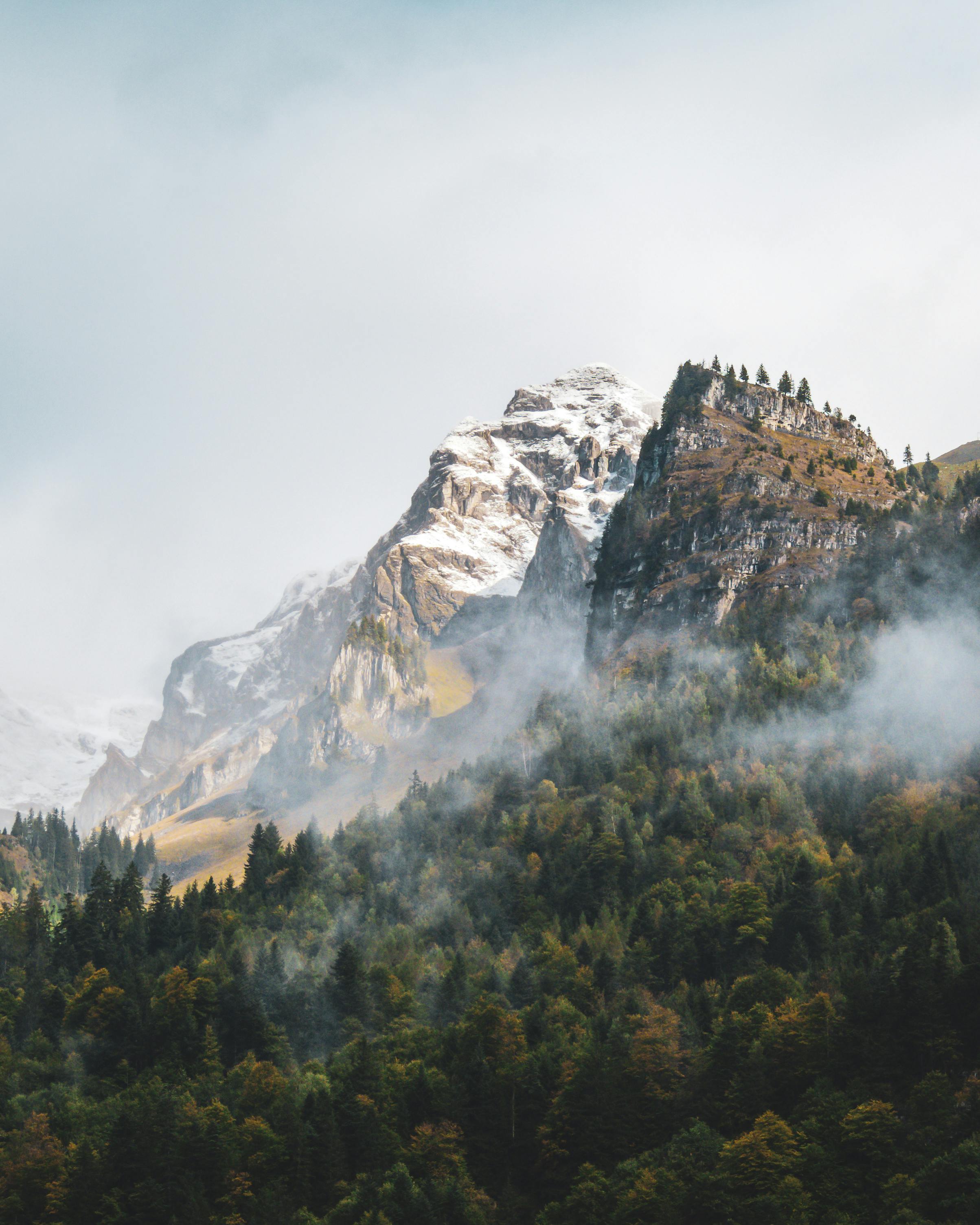 Misty morning landscape with snowcapped mountain peaks, dense forest, and scenic foggy atmosphere.