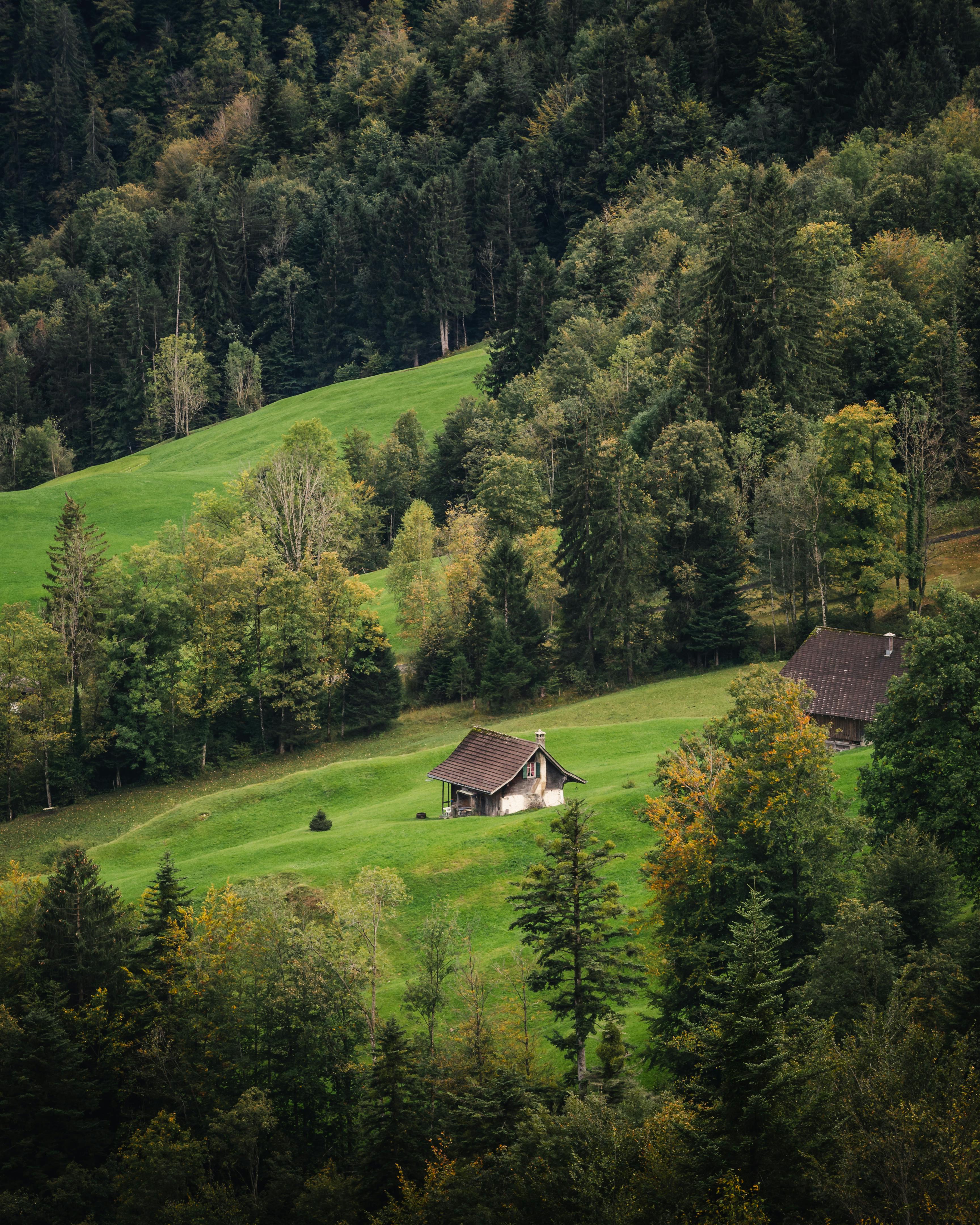 Scenic view of a lush green rural landscape with quaint wooden houses nestled among trees and hills.