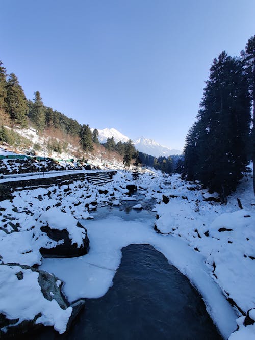 Frozen Stream in Countryside in Winter