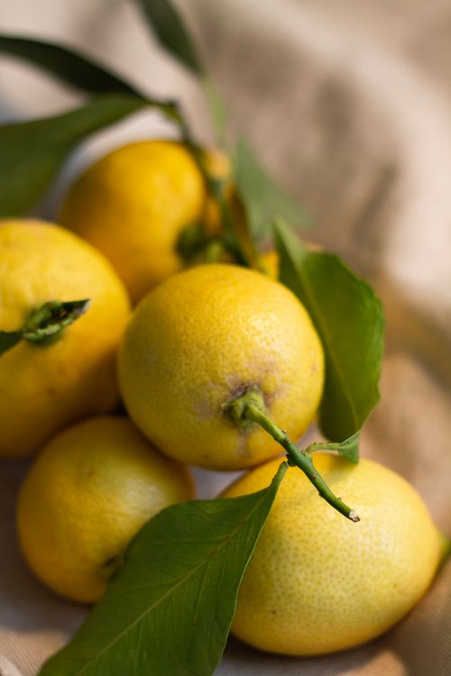 Free Close-up of ripe yellow lemons with vibrant green leaves, showcasing natural freshness and vivid colors. Stock Photo