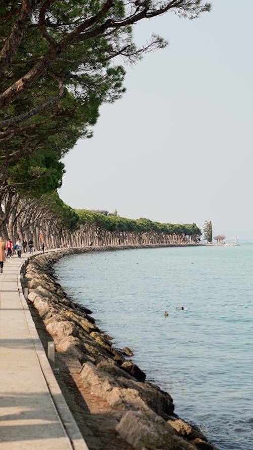 Free View of the Lungolago Mazzini - Promenade along the Lake Garda in Peschiera del Garda, Italy  Stock Photo