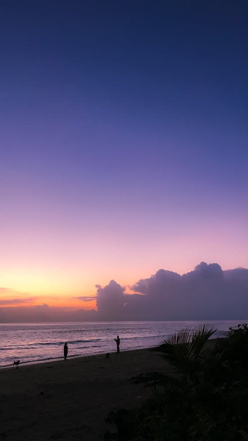 คลังภาพถ่ายฟรี ของ ความสุข, ชายหาด, พระอาทิตย์ตกที่ชายหาด