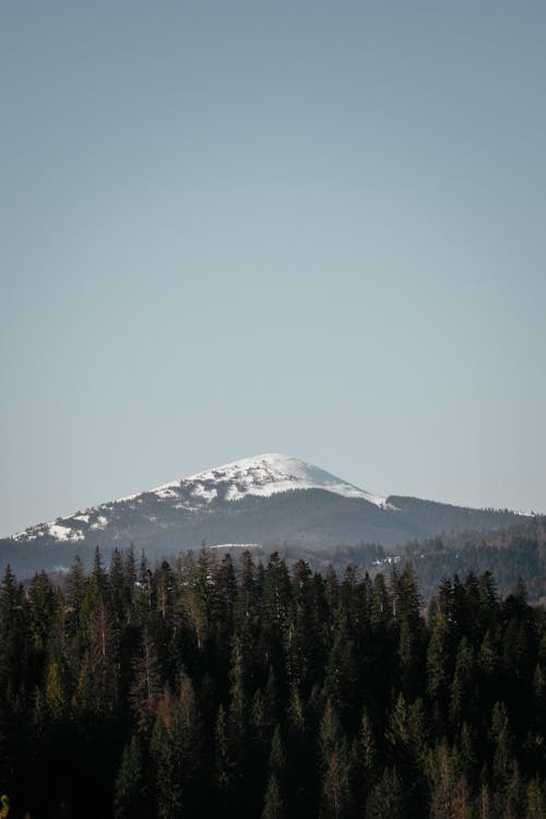 A mountain with snow on it and trees in the background