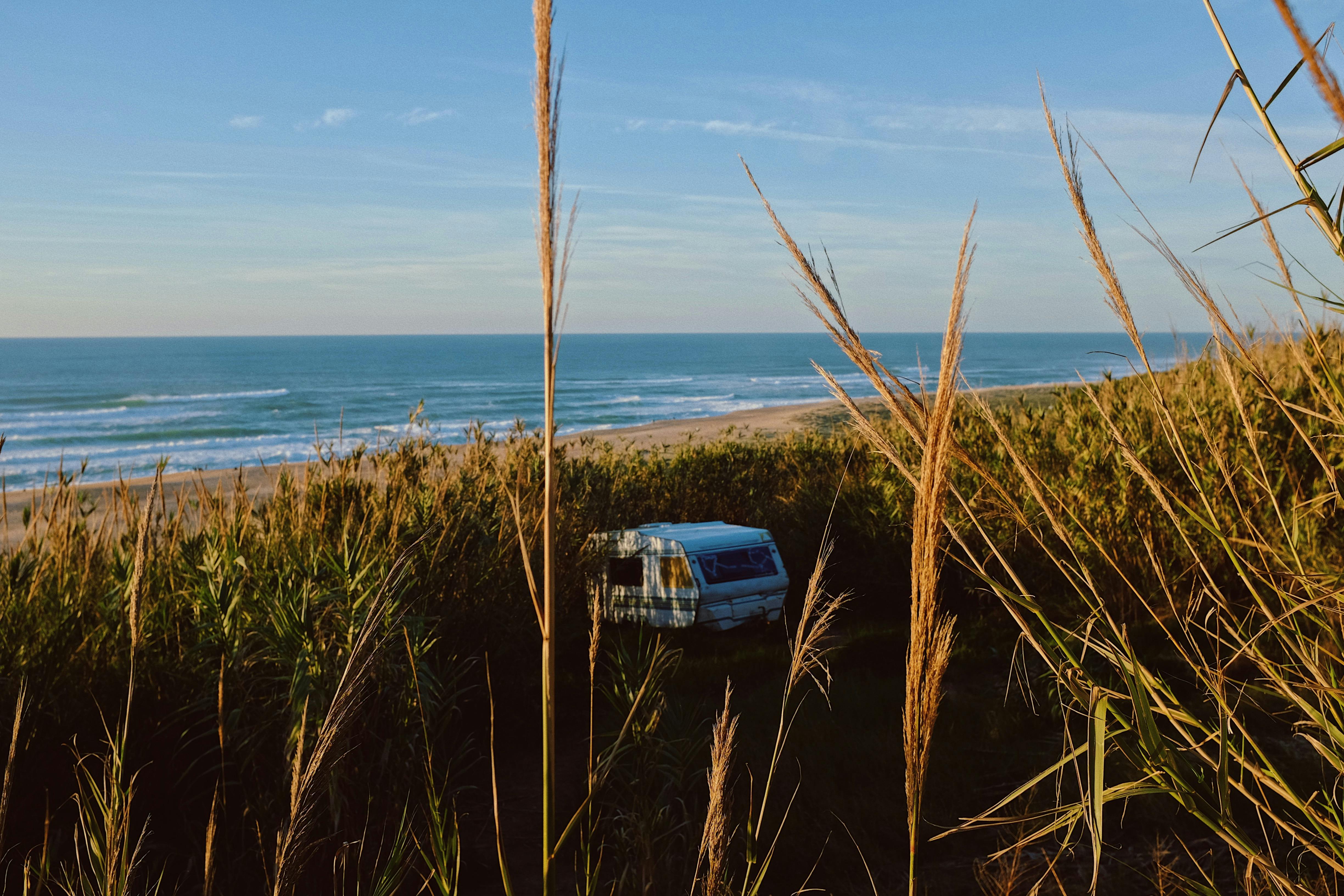 Explore the scenic coast with an RV nestled among tall grasses, capturing the essence of travel and nature.