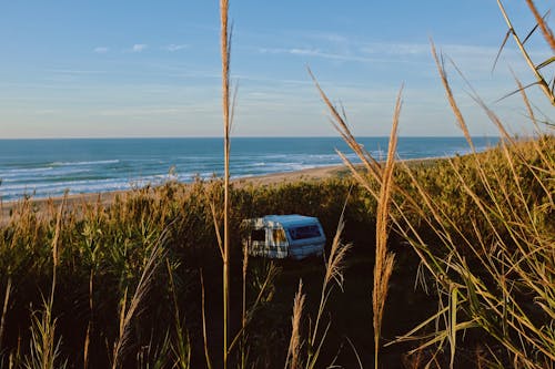 RV among Bushes on Sea Coast