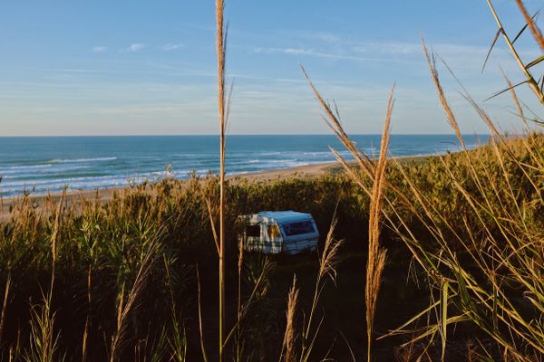 Motorhome tucked among tall coastal grasses and bushes near the sea shore