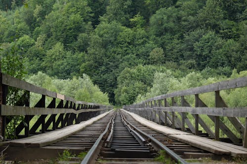 A wooden bridge over a river with trees