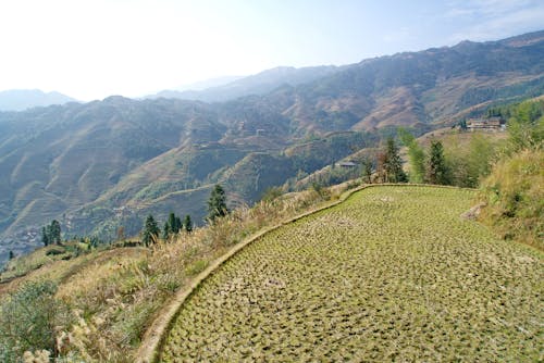 Foto stok gratis bidang, gunung, lembah