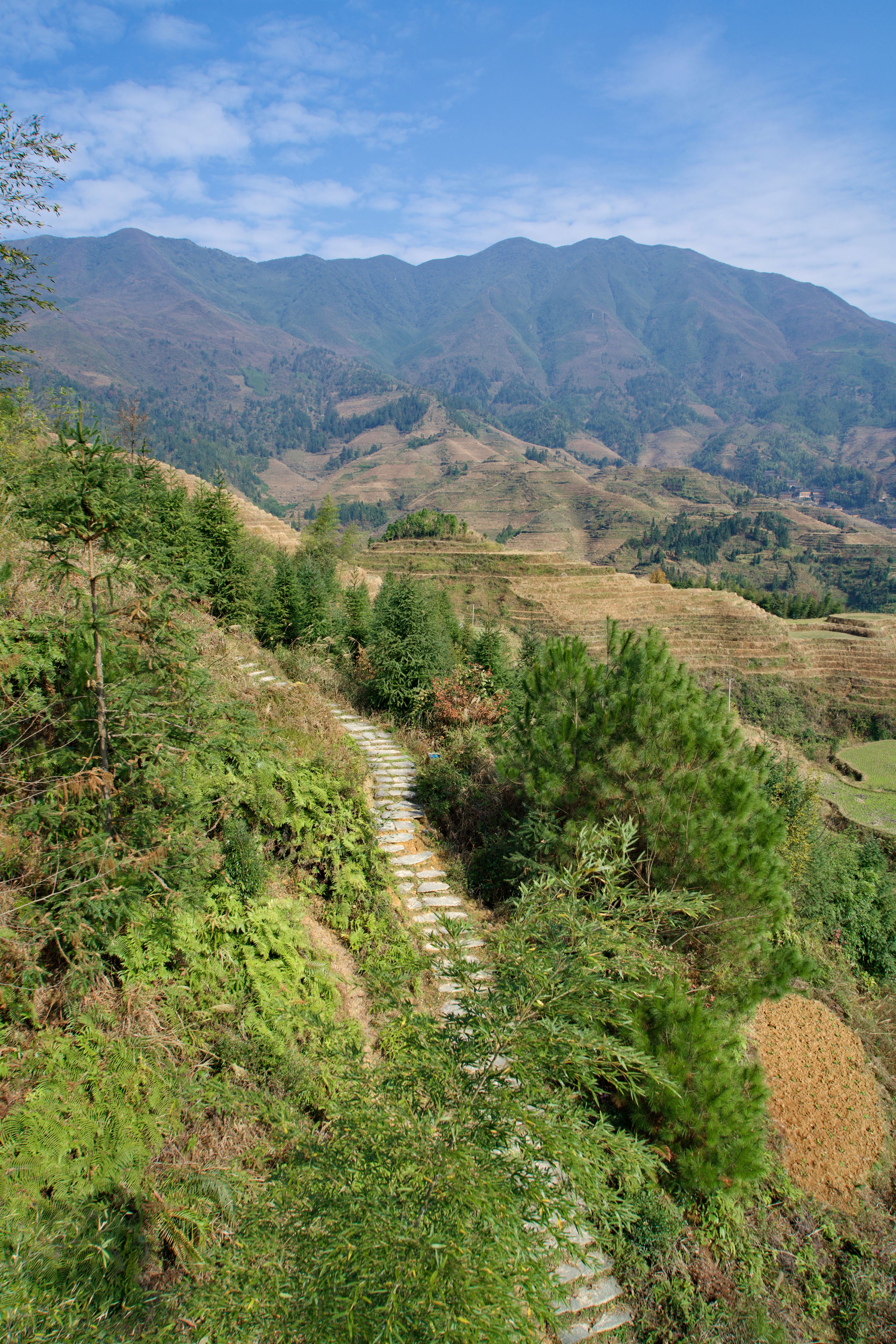 best things to do in vietnam