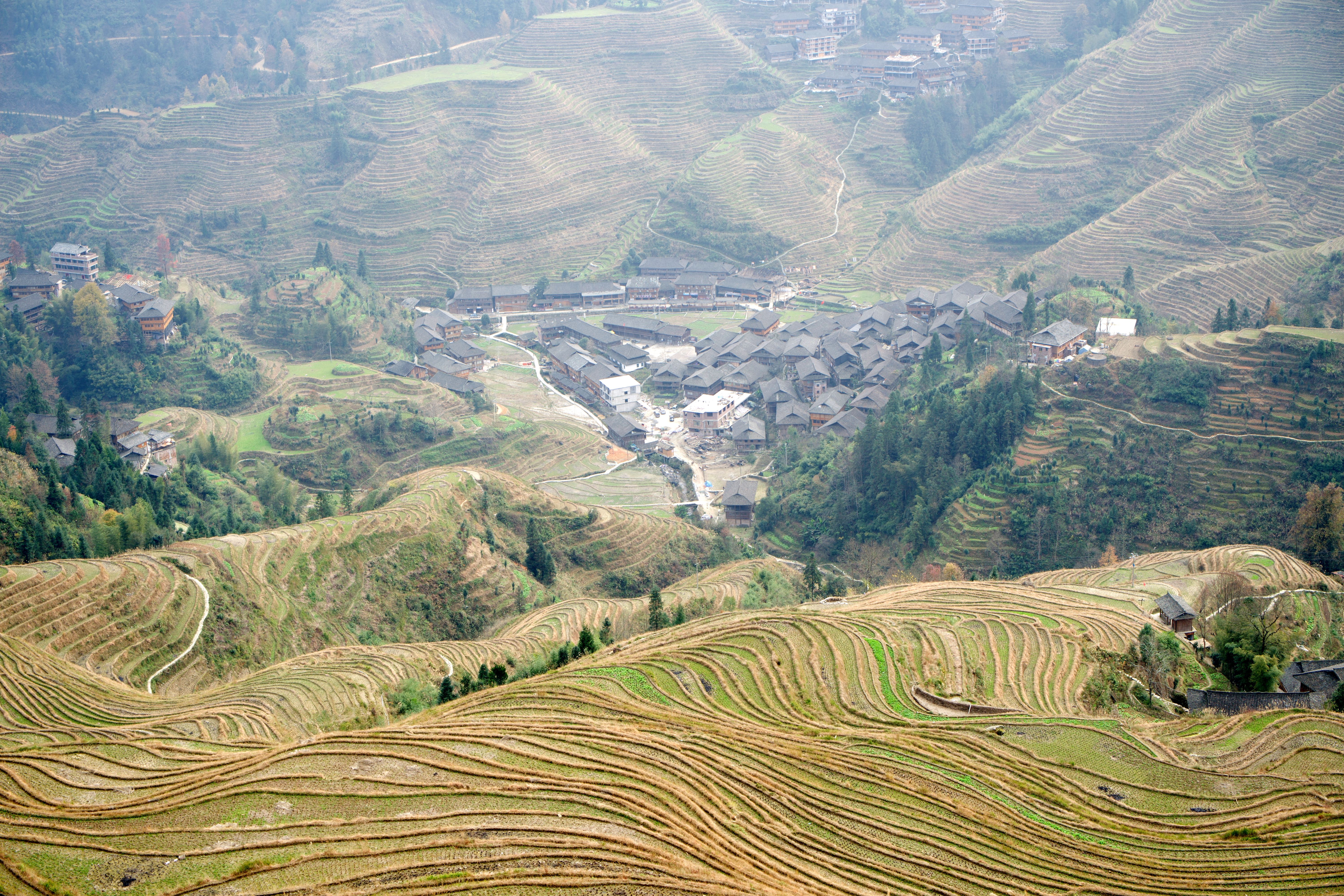 Guizhou Miao village terraced rice field — Photo by Gary Yip