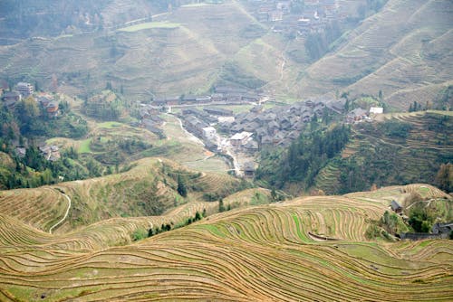 alanlar, dağ, ekili arazi içeren Ücretsiz stok fotoğraf