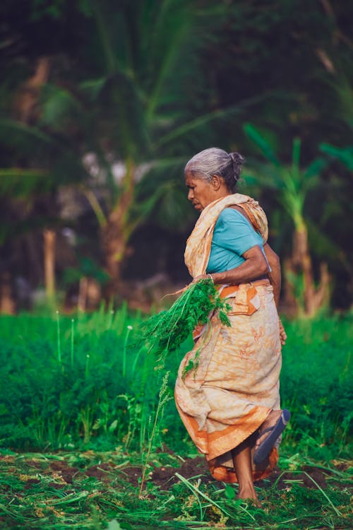 Foto stok gratis agrikultura, bekerja, berjalan