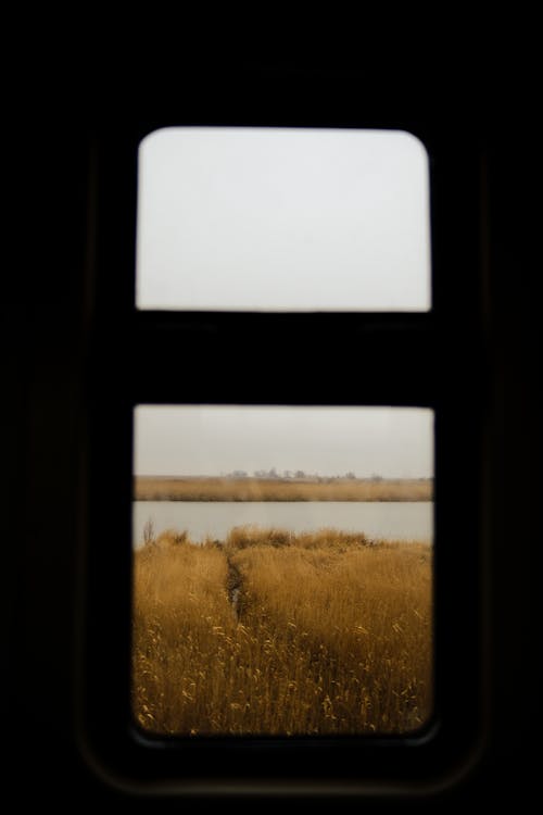 Základová fotografie zdarma na téma břeh jezera, hřiště, okna