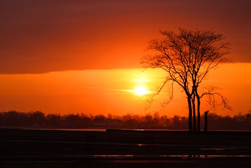İşte Güneş Doğuyor. 36° F. 6:48   7:03 Arası. 23 şubat 2024. Cove Island Park, Stamford, Ct.