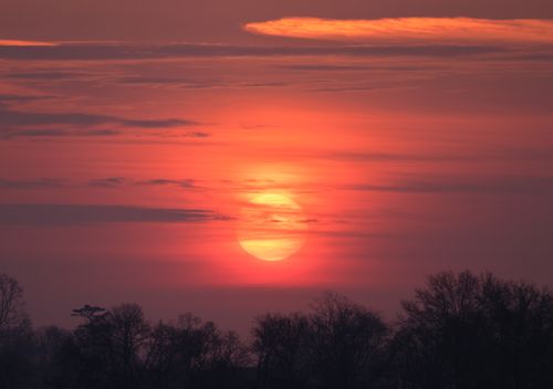 Free Captivating red sunset over Stamford with silhouettes of trees. Stock Photo