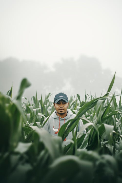 A man standing in a corn field