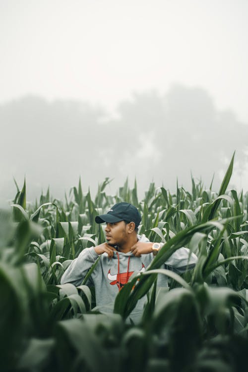 A man in a corn field