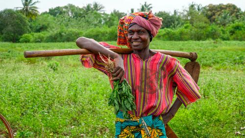 Free A smiling farmer in Tanzania holding fresh crop and a hoe, standing in a lush green field. Stock Photo