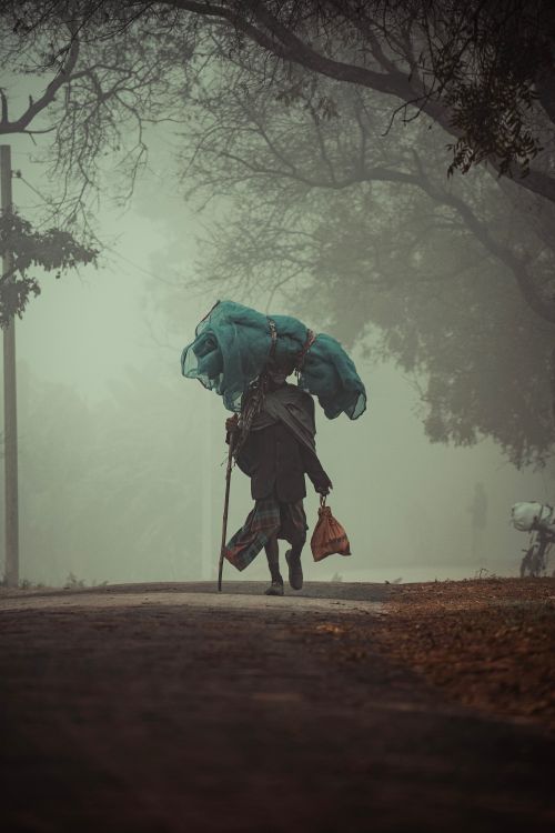 Free Silhouette of a man carrying bags on a misty rural path surrounded by trees. Stock Photo