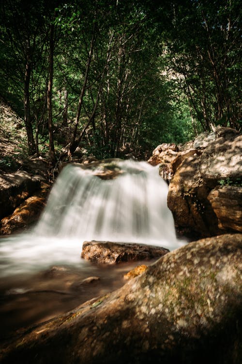 Foto stok gratis air, air terjun, batu