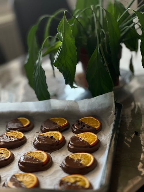 Chocolate orange cookies on a baking sheet with a plant