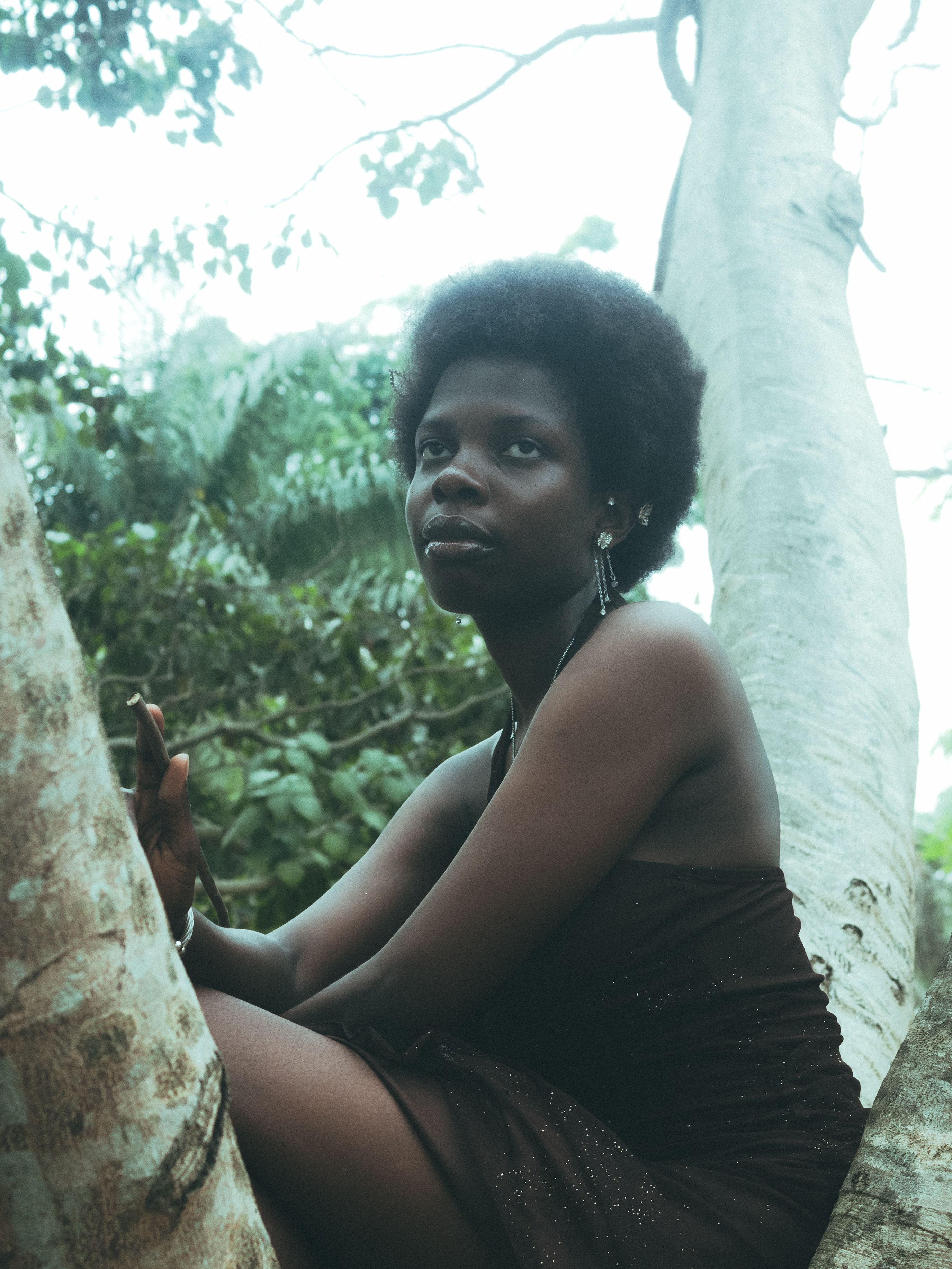 Woman in Dress Sitting on Tree · Free Stock Photo