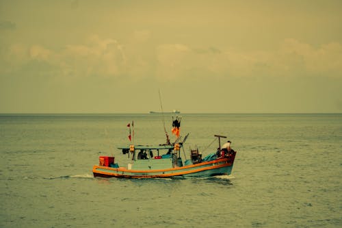 Foto d'estoc gratuïta de barca, barres, home