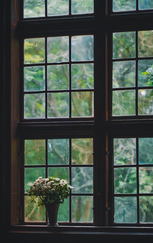 Darmowe zdjęcie z galerii z kwiaty, okna, okno