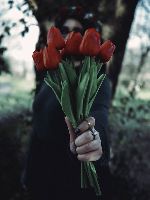 Gratis lagerfoto af blomster, hænder menneskelige hænder, hånd
