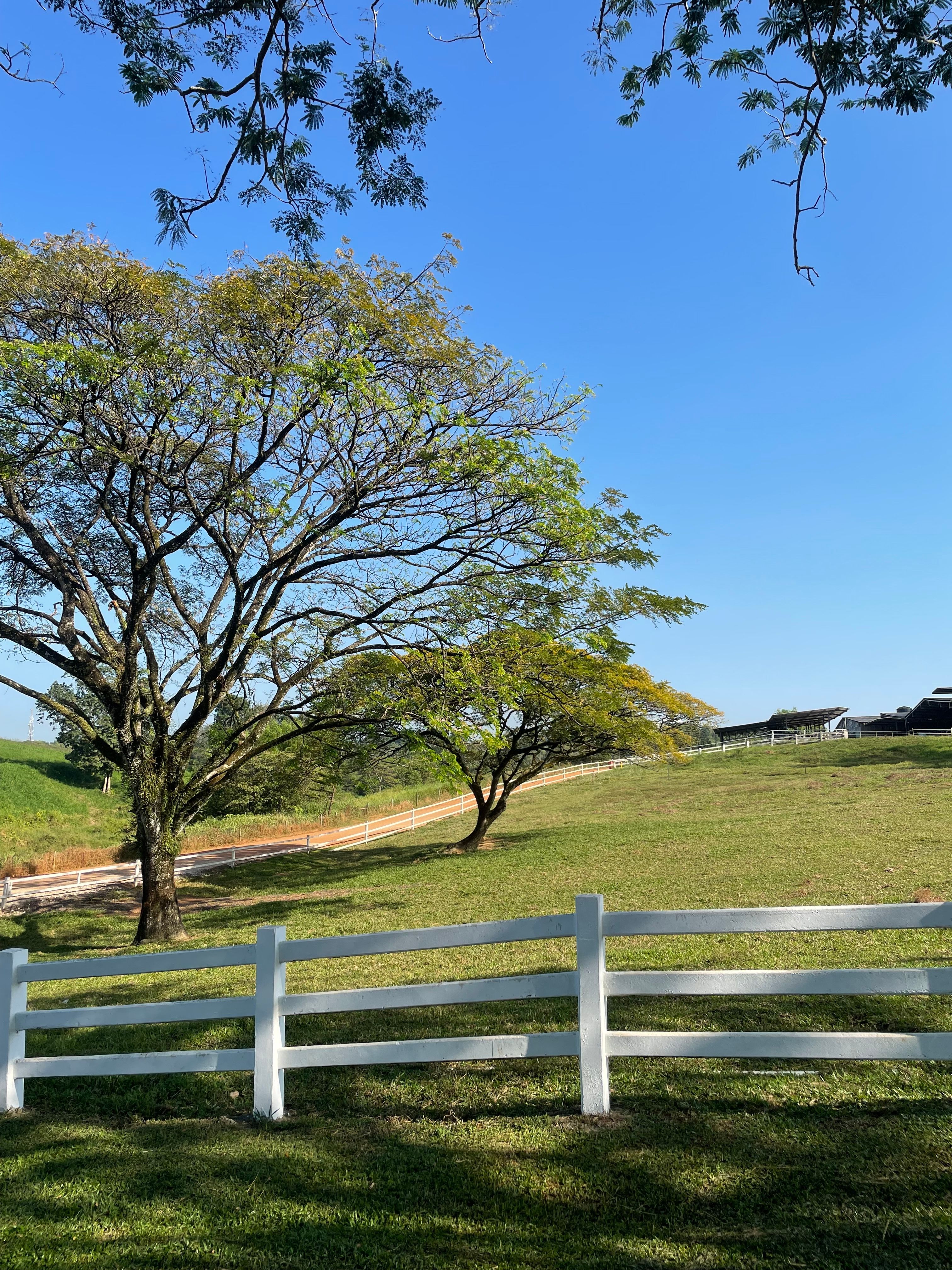 Seri Kembangan Photos, Download The BEST Free Seri Kembangan Stock ...