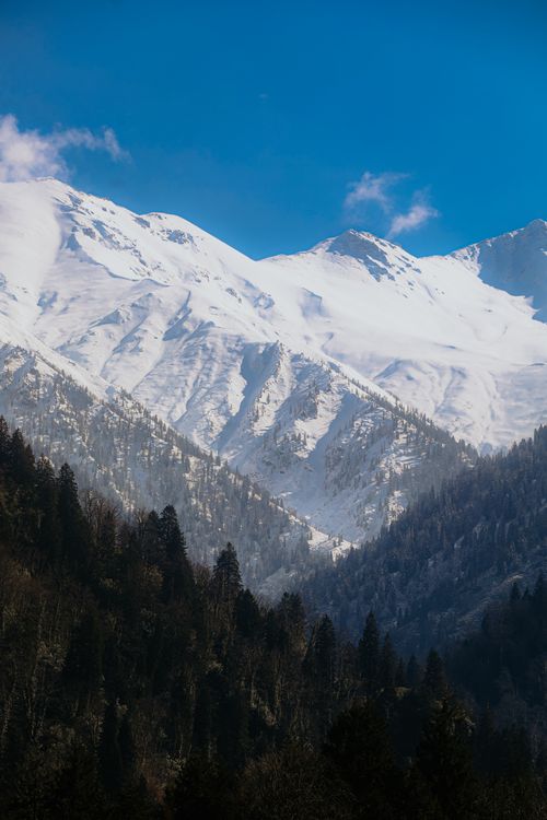 Free Stunning view of snow-covered mountains with lush forest below, epitomizing nature's beauty. Stock Photo