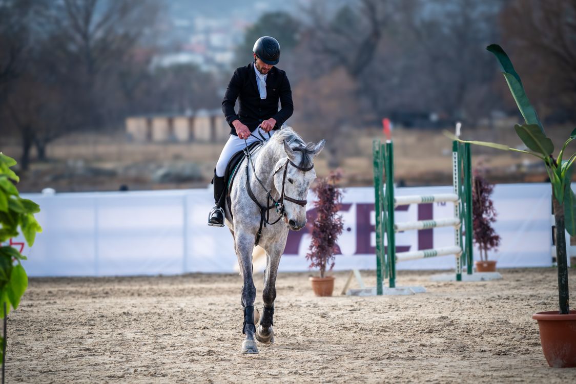 Person Riding House A person riding a horse in an arena · Free Stock Photo