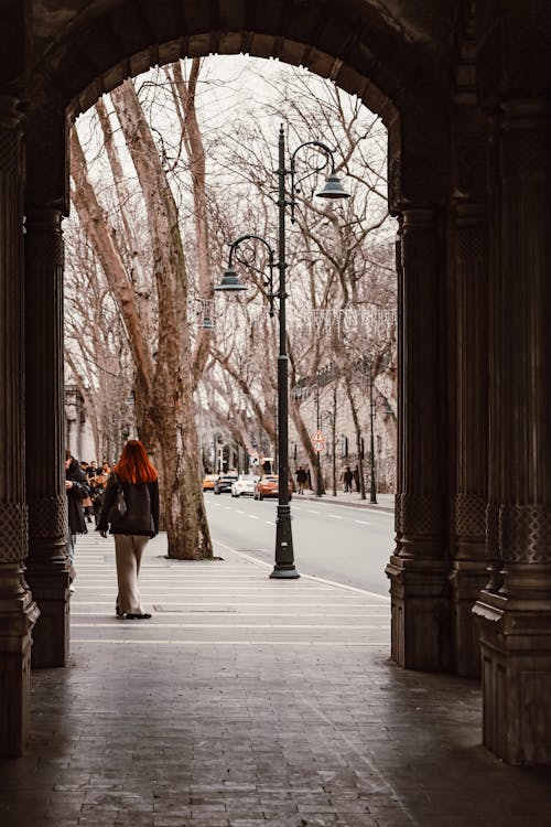 Foto profissional grátis de arcada, arcadas, árvores