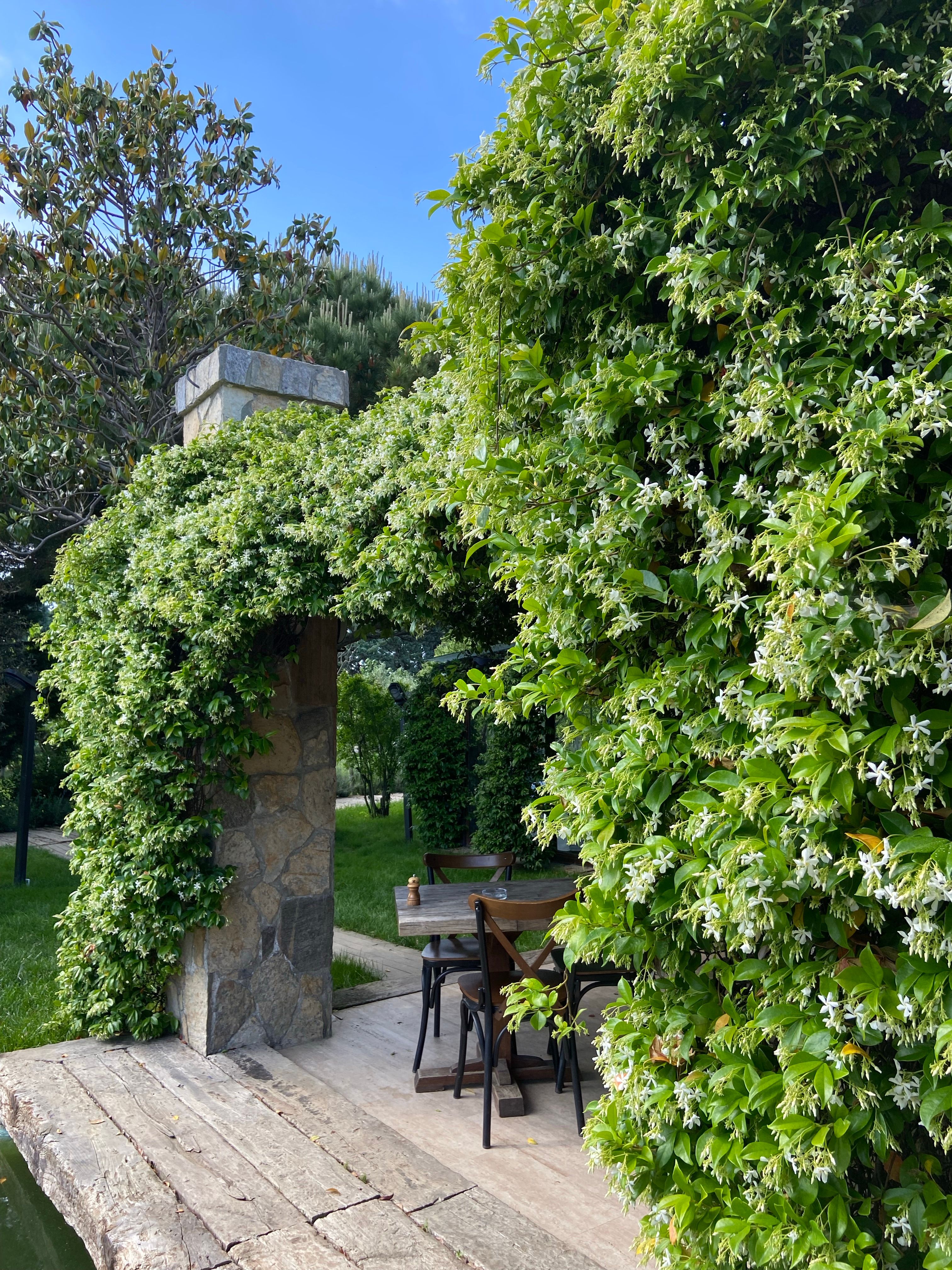 Pergola à Waterloo - Creative Solution