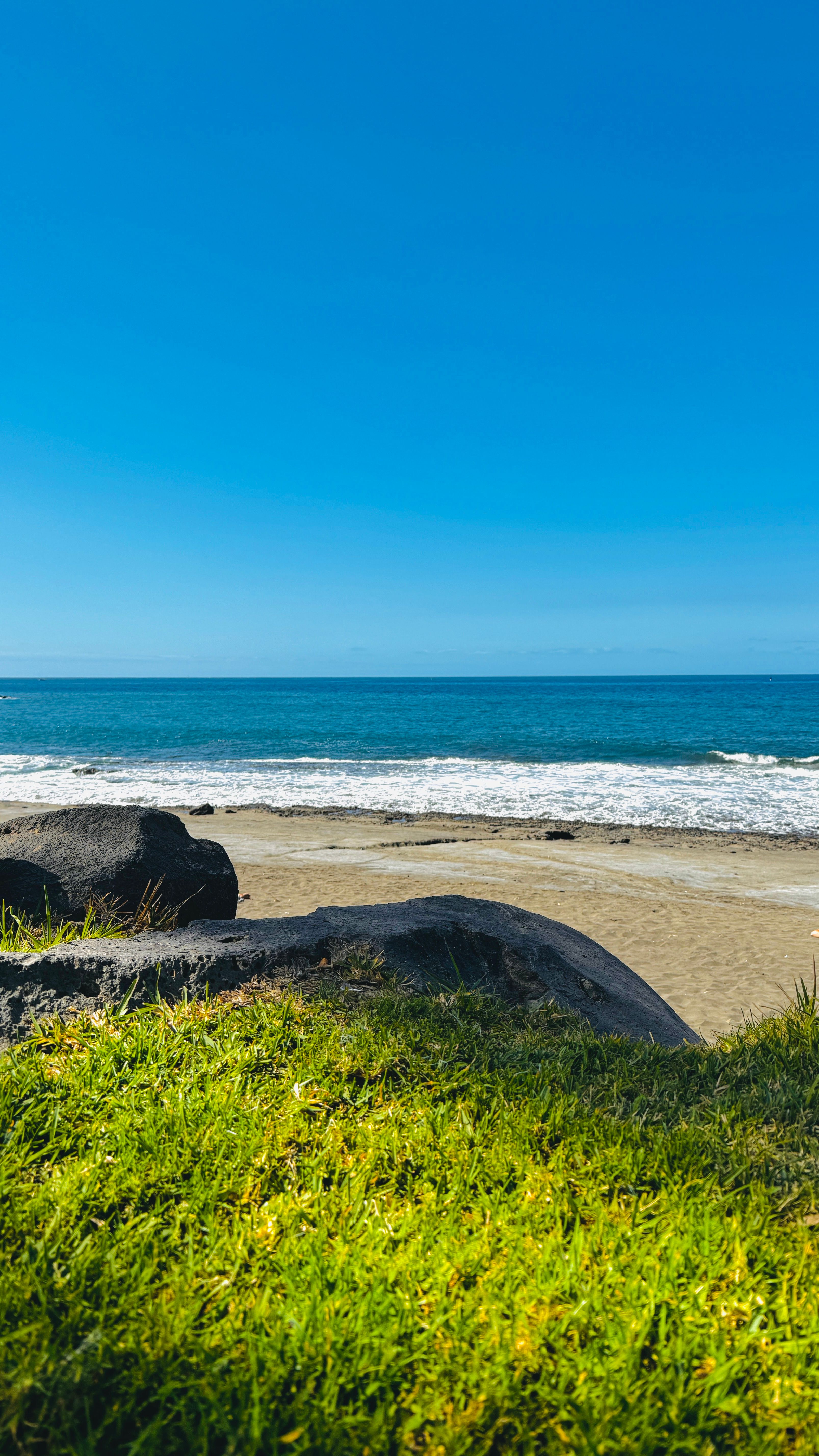 A beach with grass and rocks in front of the ocean · Free Stock Photo
