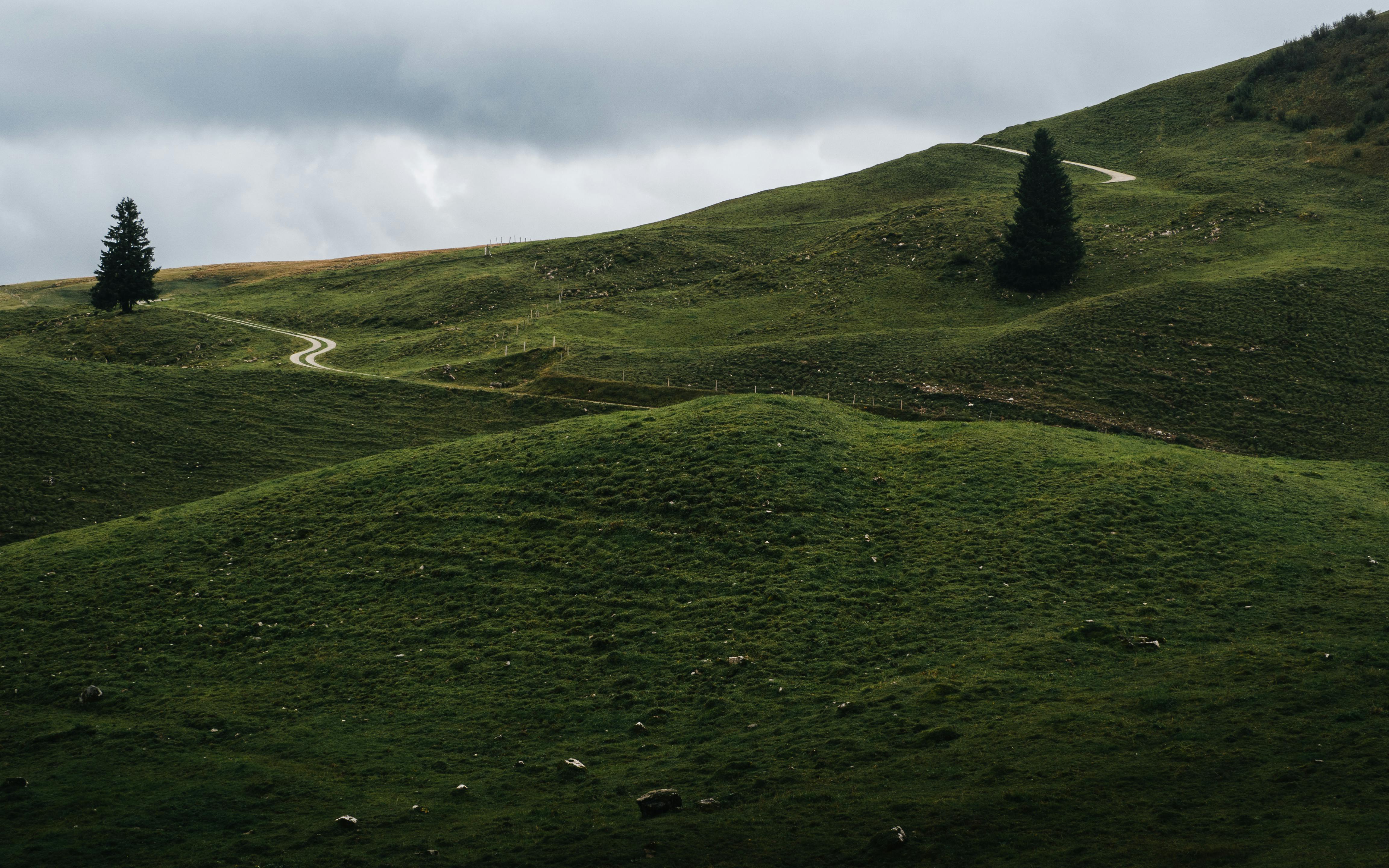 Serene landscape of green rolling hills with a winding path in the Swiss countryside.