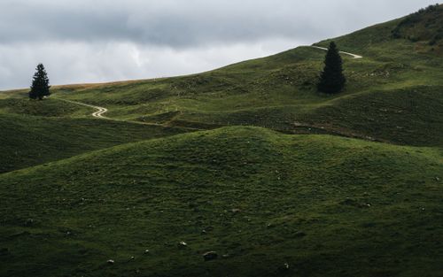 Free Serene landscape of green rolling hills with a winding path in the Swiss countryside. Stock Photo