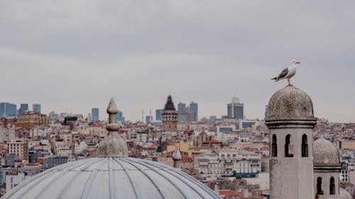 Rooftops of Istanbul, Turkey
