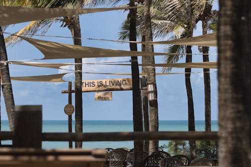 A beach with palm trees and a sign that says, beach