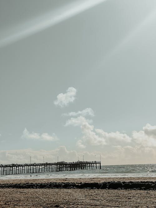カリフォルニアの海岸, ニューポート, 桟橋の無料の写真素材
