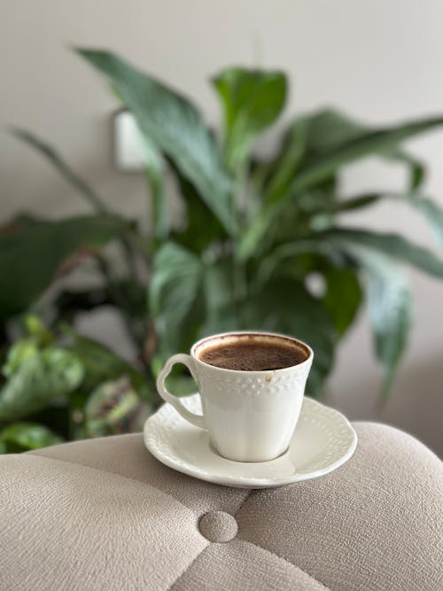 A cup of coffee sitting on a table next to a plant