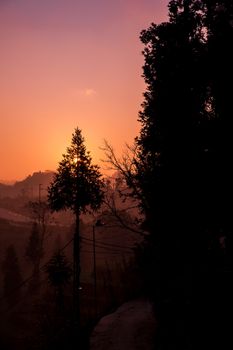 A tranquil sunset with silhouetted trees in a misty valley.