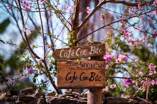 Wooden Guide Sign to Cafe Cuc Bac