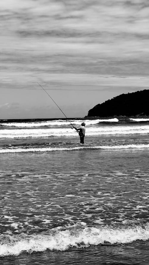 Fotos de stock gratuitas de afición, blanco y negro, caña