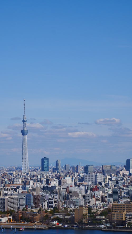 A view of the tokyo skyline from a boat