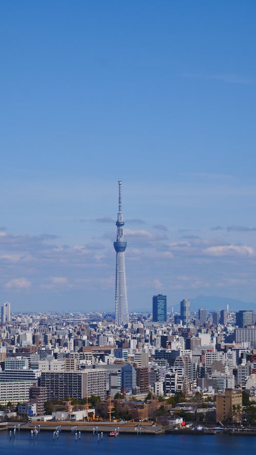 The tokyo tower is seen from a distance