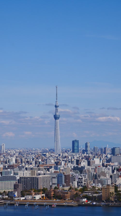 Foto d'estoc gratuïta de ciutat, ciutats, edificis