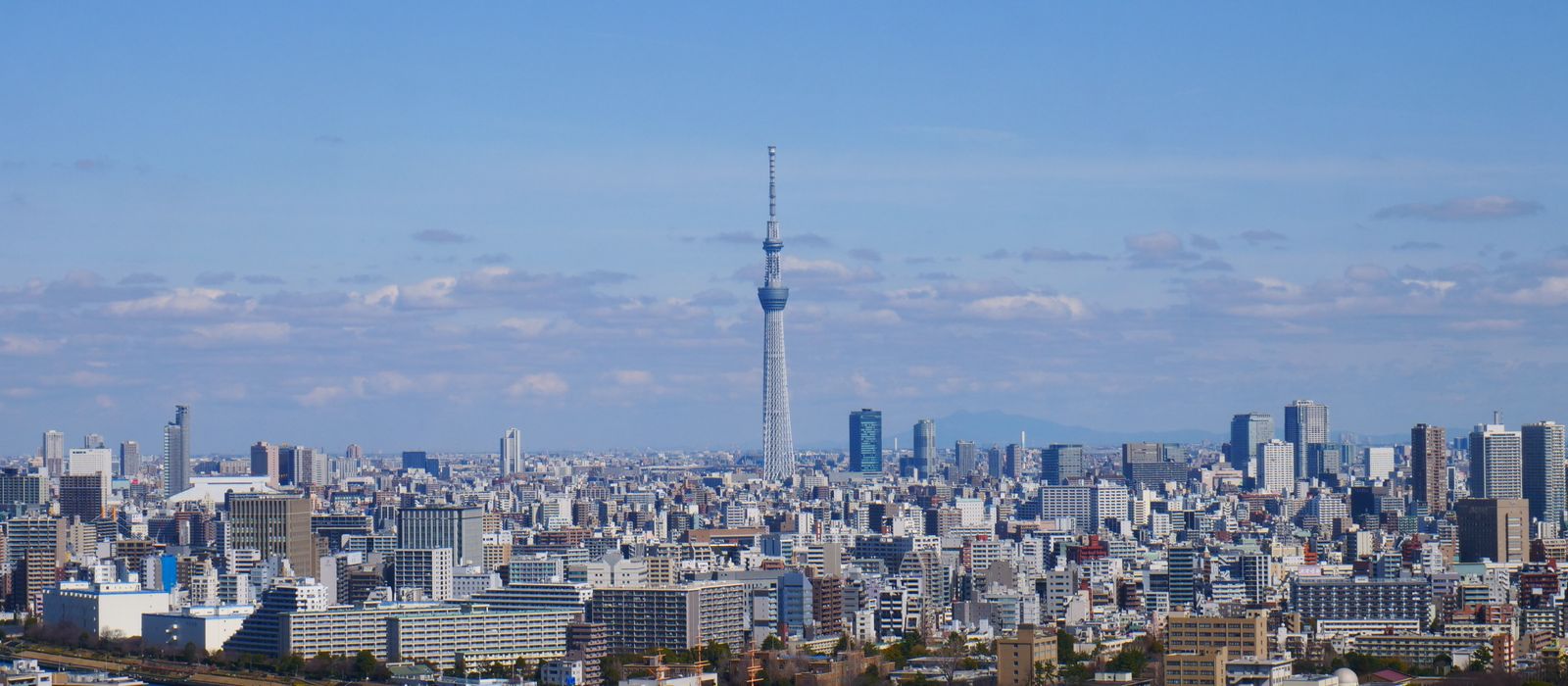 Aerial view of Tokyo skyline, featuring the iconic Tokyo Skytree under a clear blue sky.