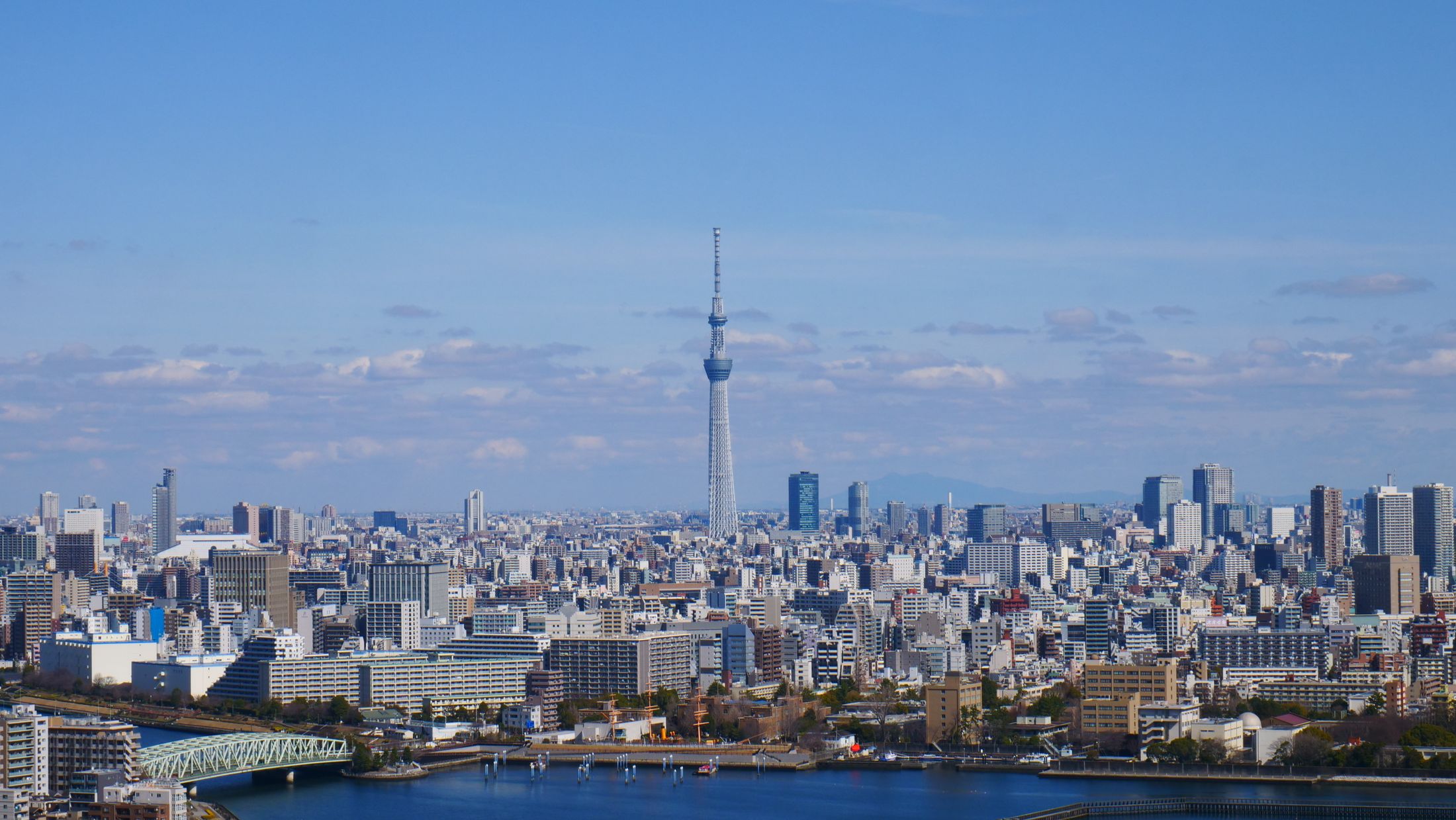 Tokyo skyline in daylight